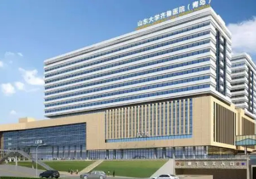 山東大學齊魯醫(yī)院整形外科