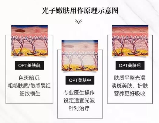 QQ截圖20200410141934.jpg QQ截圖20200410141934.jpg