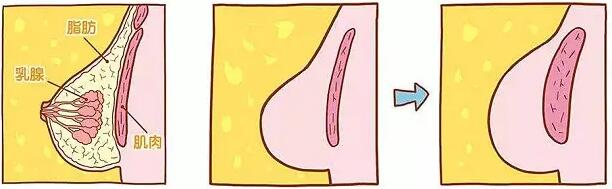 QQ截圖20231208170359.jpg QQ截圖20231208170359.jpg