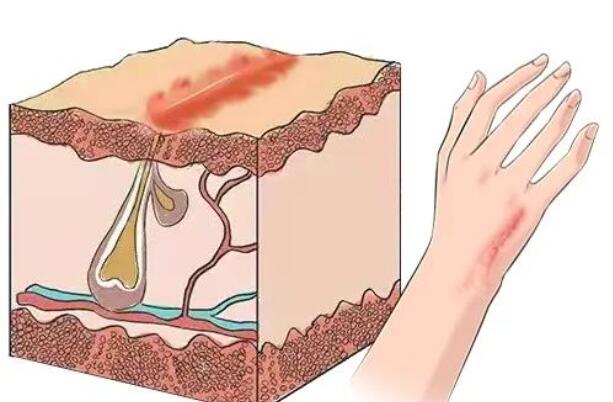 QQ截圖20230316173346.jpg QQ截圖20230316173346.jpg