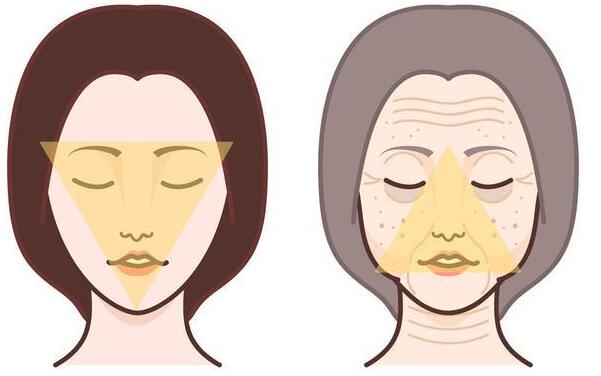 QQ截圖20230510110619.jpg QQ截圖20230510110619.jpg