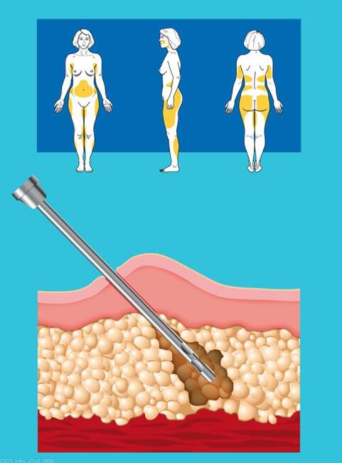 QQ截圖20230209111132.jpg QQ截圖20230209111132.jpg