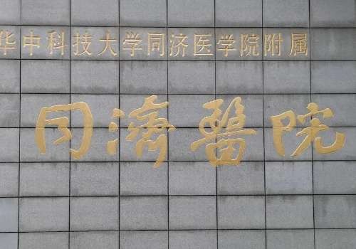 武漢同濟(jì)醫(yī)院.jpg