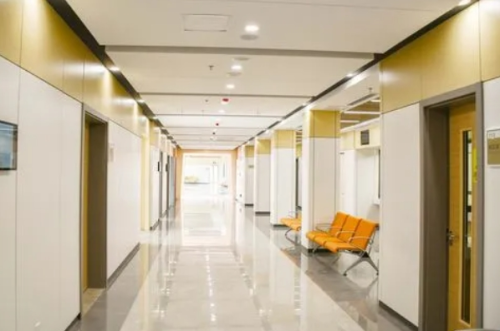 深圳港龍醫(yī)療美容醫(yī)院（二級專科）玻尿酸塑形費用標準?施問國|徐小輝醫(yī)生技術優(yōu)勢