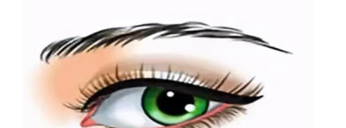 眉毛種植動(dòng)漫13.jpg 眉毛種植動(dòng)漫13.jpg