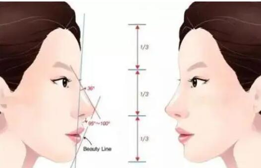 隆鼻動(dòng)漫31.jpg 隆鼻動(dòng)漫31.jpg