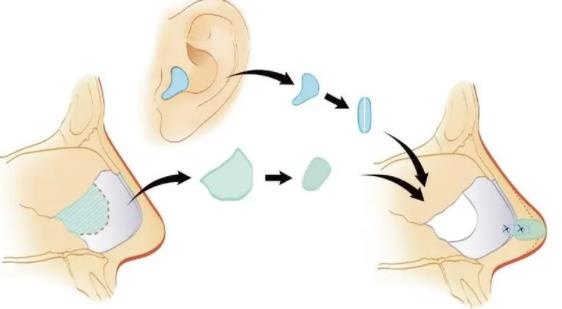 lbdm21.jpg lbdm21.jpg