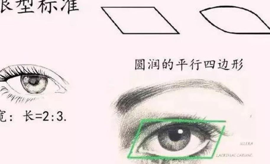 雙眼皮h02.jpg 雙眼皮h02.jpg