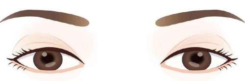 雙眼皮 雙眼皮