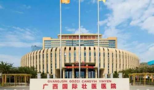 廣西國際壯醫(yī)醫(yī)院.jpg
