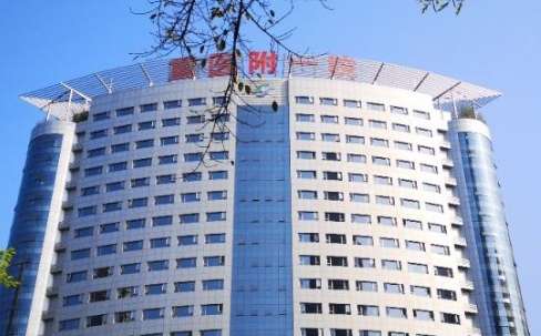 重慶肋軟骨隆鼻正規(guī)醫(yī)院盤點重醫(yī)大附一院、永川醫(yī)院、新橋醫(yī)院