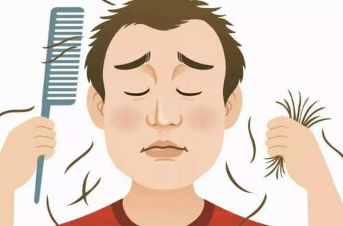 植發(fā) 植發(fā)