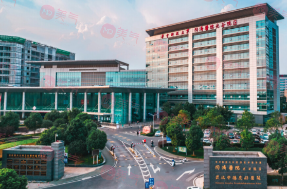 武漢同濟(jì)醫(yī)院種植牙多少錢(qián)一顆？醫(yī)生團(tuán)隊(duì)+平均價(jià)格表