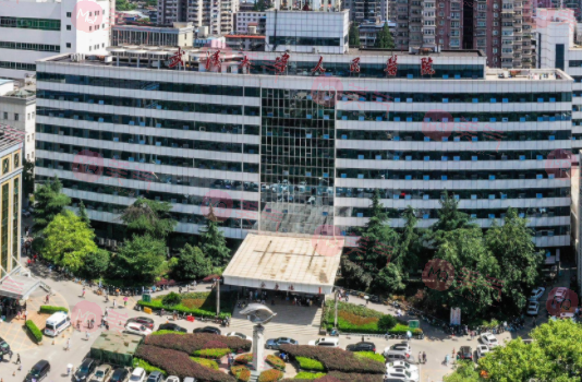 武漢大學人民醫(yī)院整形美容外科