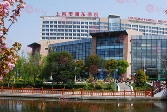 復旦大學附屬浦東醫(yī)院整形科 復旦大學附屬浦東醫(yī)院整形科