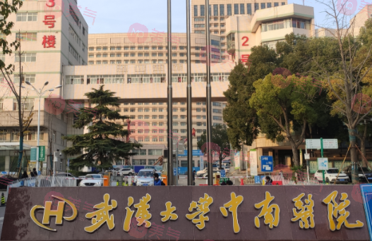 武漢大學(xué)中南醫(yī)院整形科 武漢大學(xué)中南醫(yī)院整形科