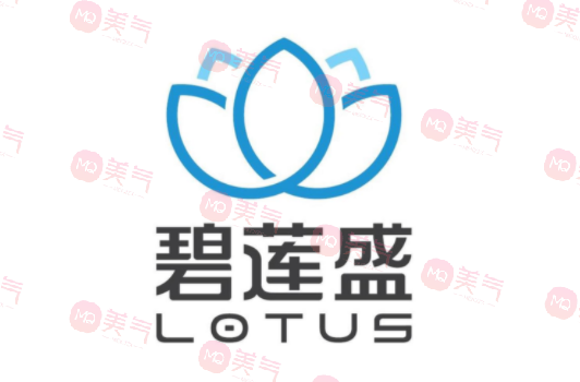 成都碧蓮盛植發(fā) 成都碧蓮盛植發(fā)