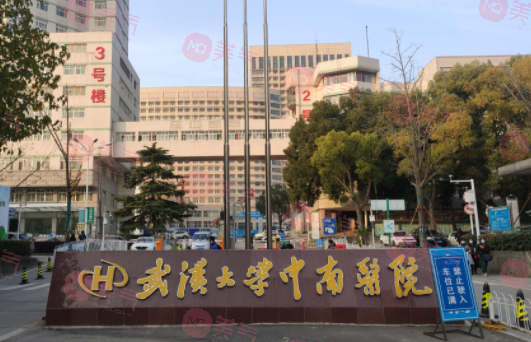 武漢三甲醫(yī)院整形外科哪家好？醫(yī)院介紹/收費(fèi)標(biāo)準(zhǔn)，來(lái)瞧瞧吧
