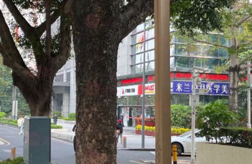 深圳米蘭柏羽醫(yī)學(xué)美容醫(yī)院靠譜嗎?項目收費全部公開 深圳米蘭柏羽醫(yī)學(xué)美容醫(yī)院靠譜嗎?項目收費全部公開