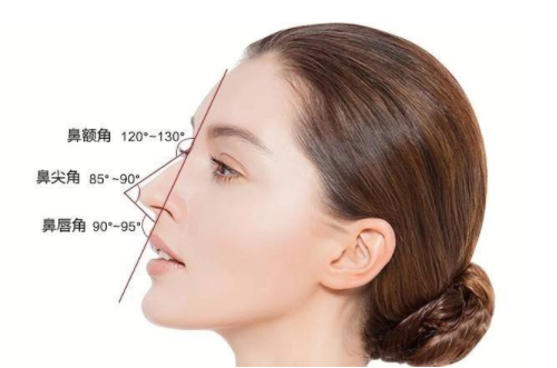 鼻頭鼻尖